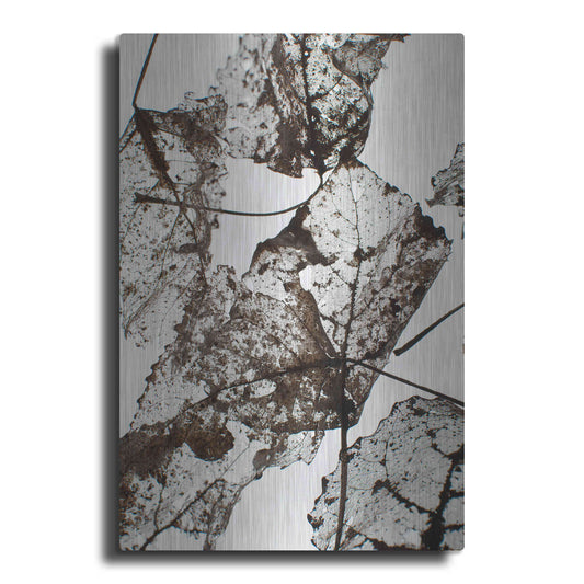 Luxe Metal Art 'Leaves' by Design Fabrikken, Metal Wall Art