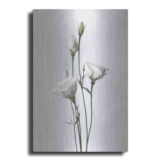 Luxe Metal Art 'Lisianthus White' by Design Fabrikken, Metal Wall Art