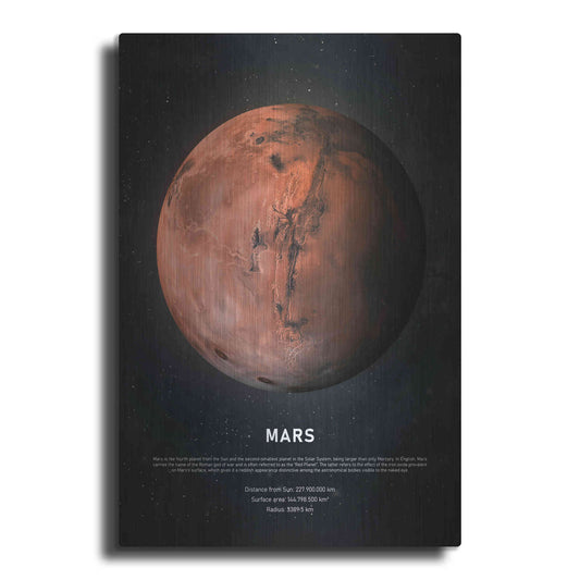 Luxe Metal Art 'Mars' by Design Fabrikken, Metal Wall Art