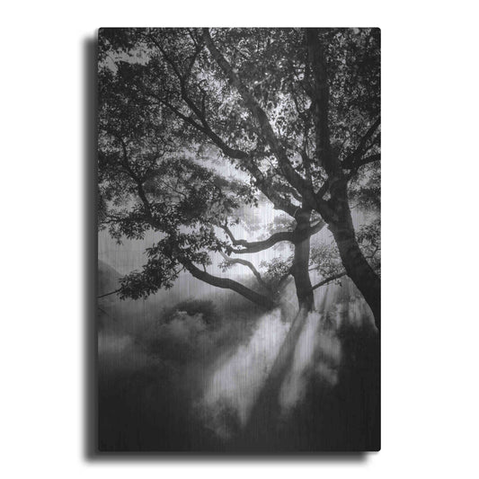 Luxe Metal Art 'Misty Black' by Design Fabrikken, Metal Wall Art