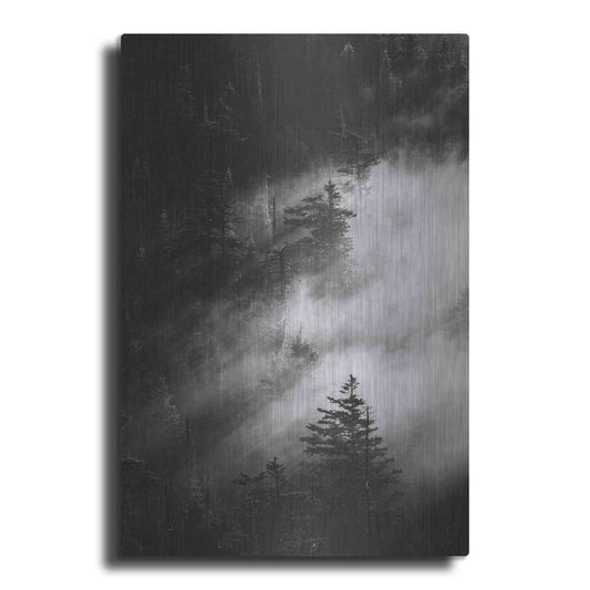 Luxe Metal Art 'Misty Pine Woods' by Design Fabrikken, Metal Wall Art