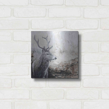 Luxe Metal Art 'Outbreak' by Design Fabrikken, Metal Wall Art,12x12