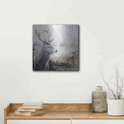 Luxe Metal Art 'Outbreak' by Design Fabrikken, Metal Wall Art,12x12