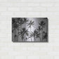 Luxe Metal Art 'Palm Heaven' by Design Fabrikken, Metal Wall Art,24x16