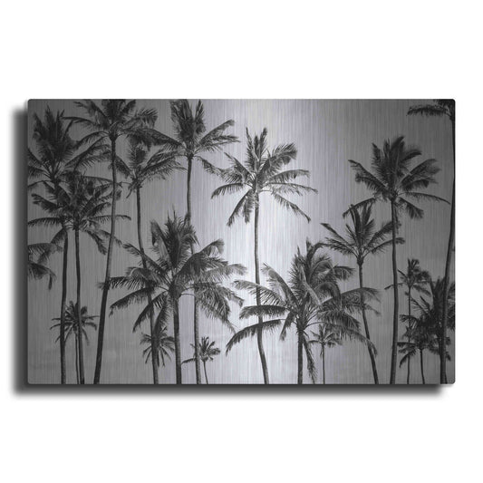 Luxe Metal Art 'Palm Heaven' by Design Fabrikken, Metal Wall Art