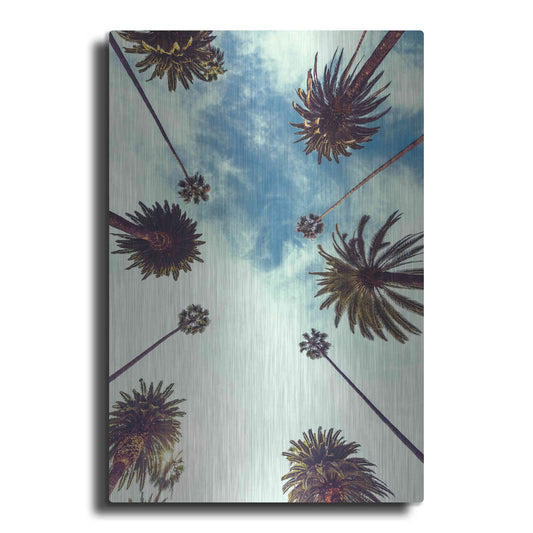 Luxe Metal Art 'Palm Sky 2' by Design Fabrikken, Metal Wall Art