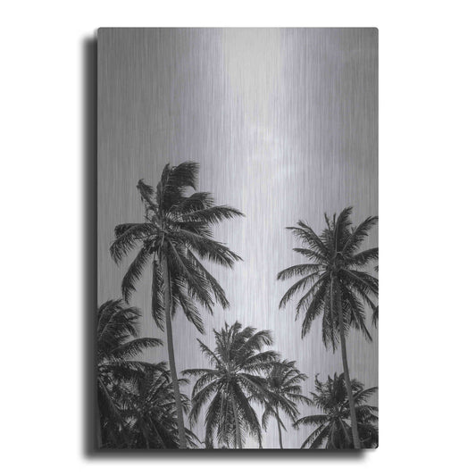 Luxe Metal Art 'Palms in Grey' by Design Fabrikken, Metal Wall Art