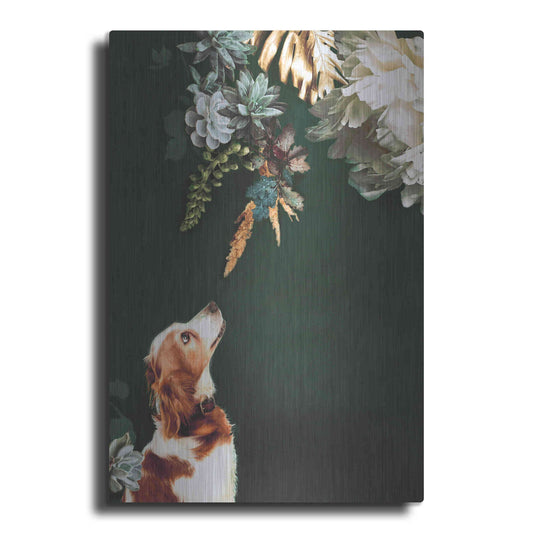 Luxe Metal Art 'Pet Couture 1' by Design Fabrikken, Metal Wall Art