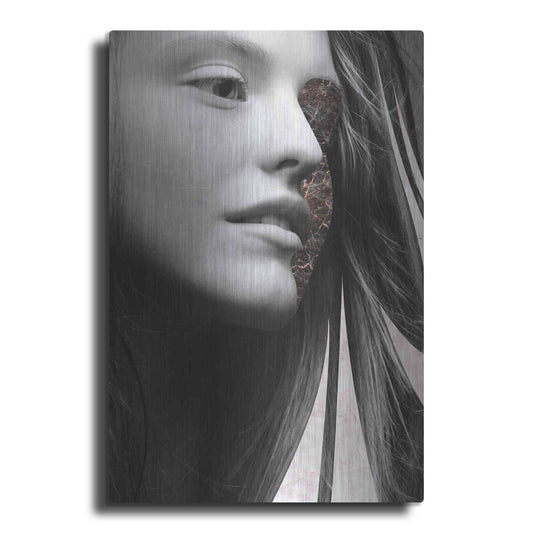 Luxe Metal Art 'Phase Three' by Design Fabrikken, Metal Wall Art