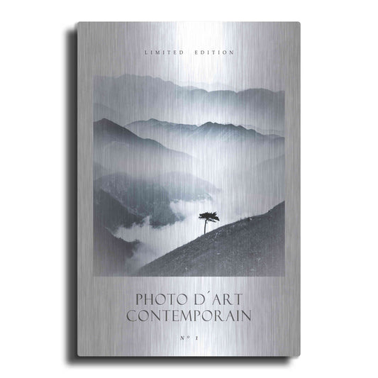 Luxe Metal Art 'Photo D´Art No 1' by Design Fabrikken, Metal Wall Art