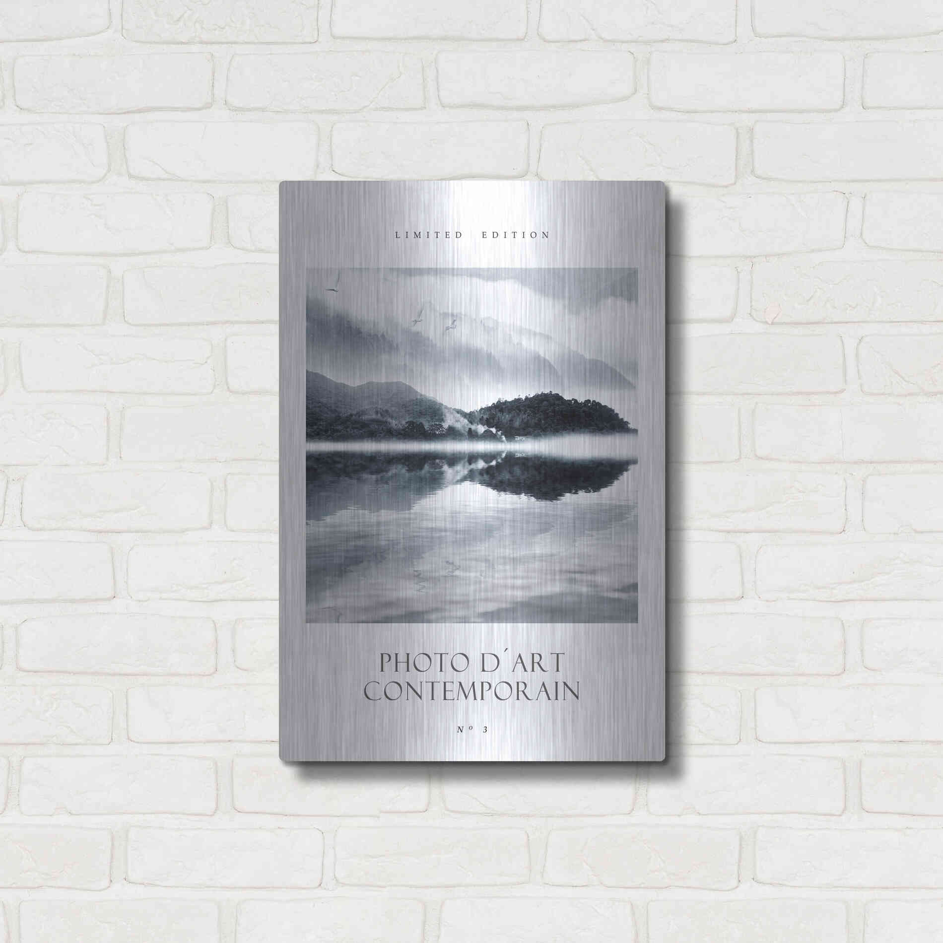 Luxe Metal Art 'Photo D´Art No 3' by Design Fabrikken, Metal Wall Art,16x24