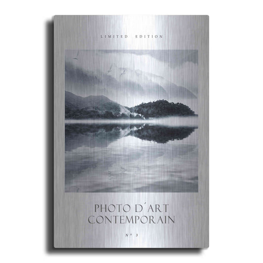 Luxe Metal Art 'Photo D´Art No 3' by Design Fabrikken, Metal Wall Art