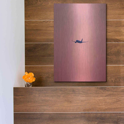 Luxe Metal Art 'Pink Flight' by Design Fabrikken, Metal Wall Art,12x16