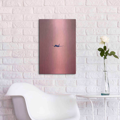 Luxe Metal Art 'Pink Flight' by Design Fabrikken, Metal Wall Art,16x24