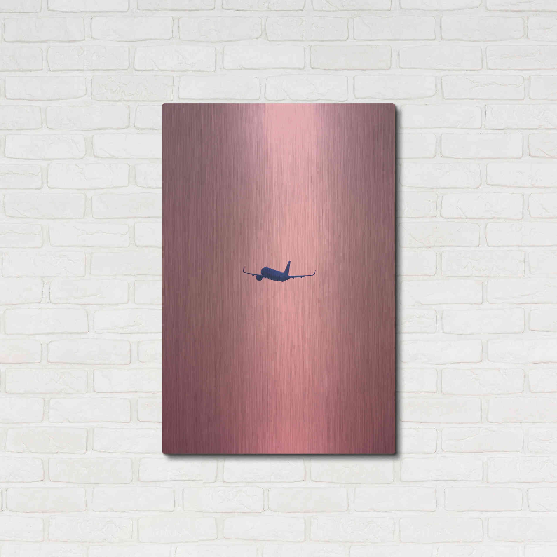 Luxe Metal Art 'Pink Flight' by Design Fabrikken, Metal Wall Art,24x36