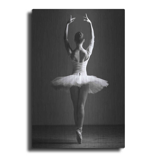 Luxe Metal Art 'Pirouette' by Design Fabrikken, Metal Wall Art