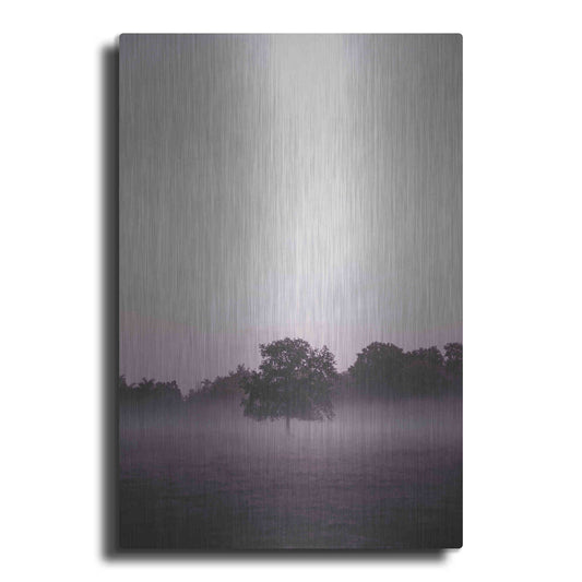 Luxe Metal Art 'Purple Light 2' by Design Fabrikken, Metal Wall Art