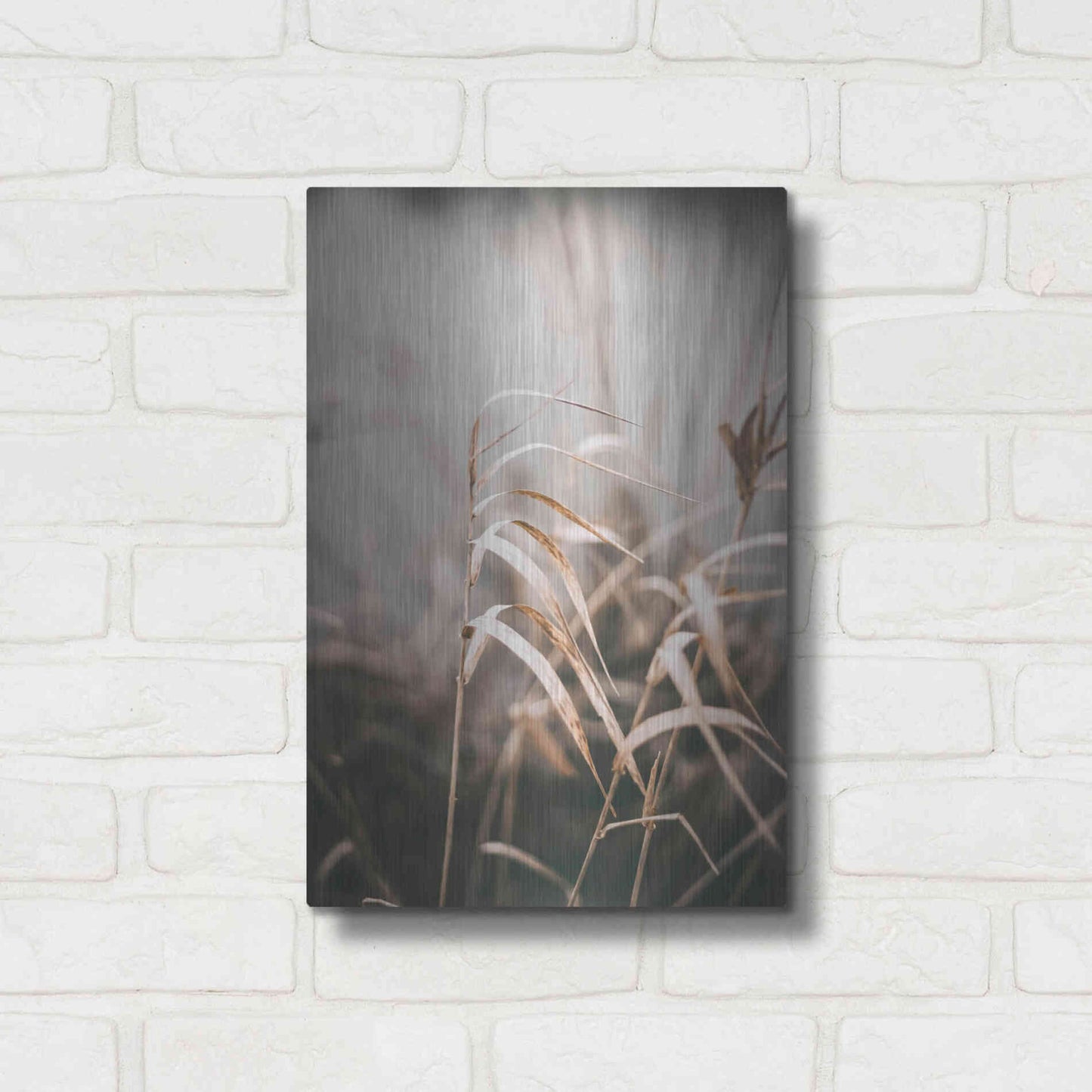 Luxe Metal Art 'Reed 2' by Design Fabrikken, Metal Wall Art,12x16