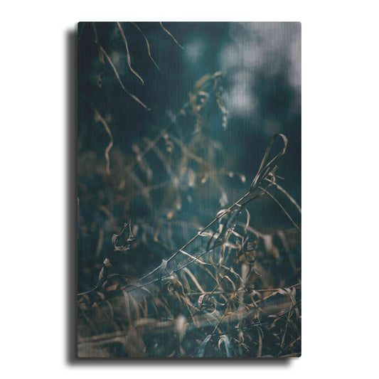 Luxe Metal Art 'Secret 1' by Design Fabrikken, Metal Wall Art