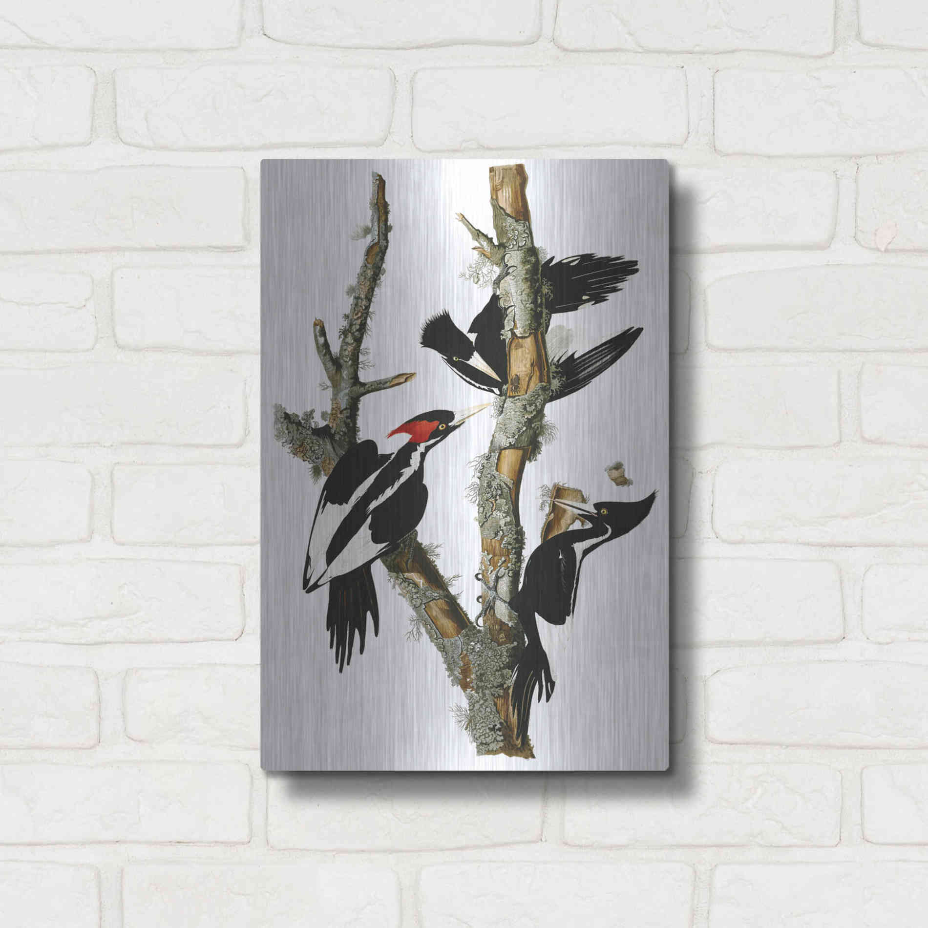 Luxe Metal Art 'Ivory-billed Woodpecker' by John James Audubon, Metal Wall Art,12x16