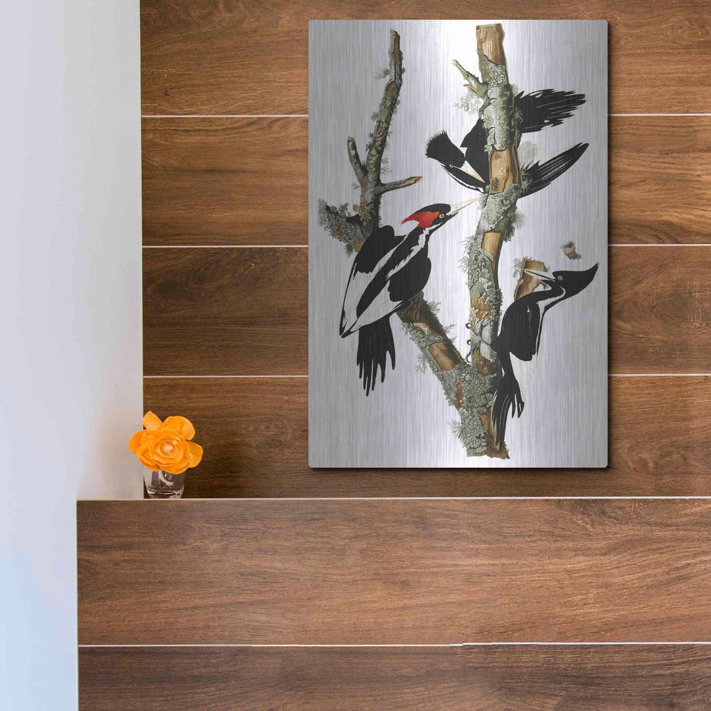 Luxe Metal Art 'Ivory-billed Woodpecker' by John James Audubon, Metal Wall Art,12x16