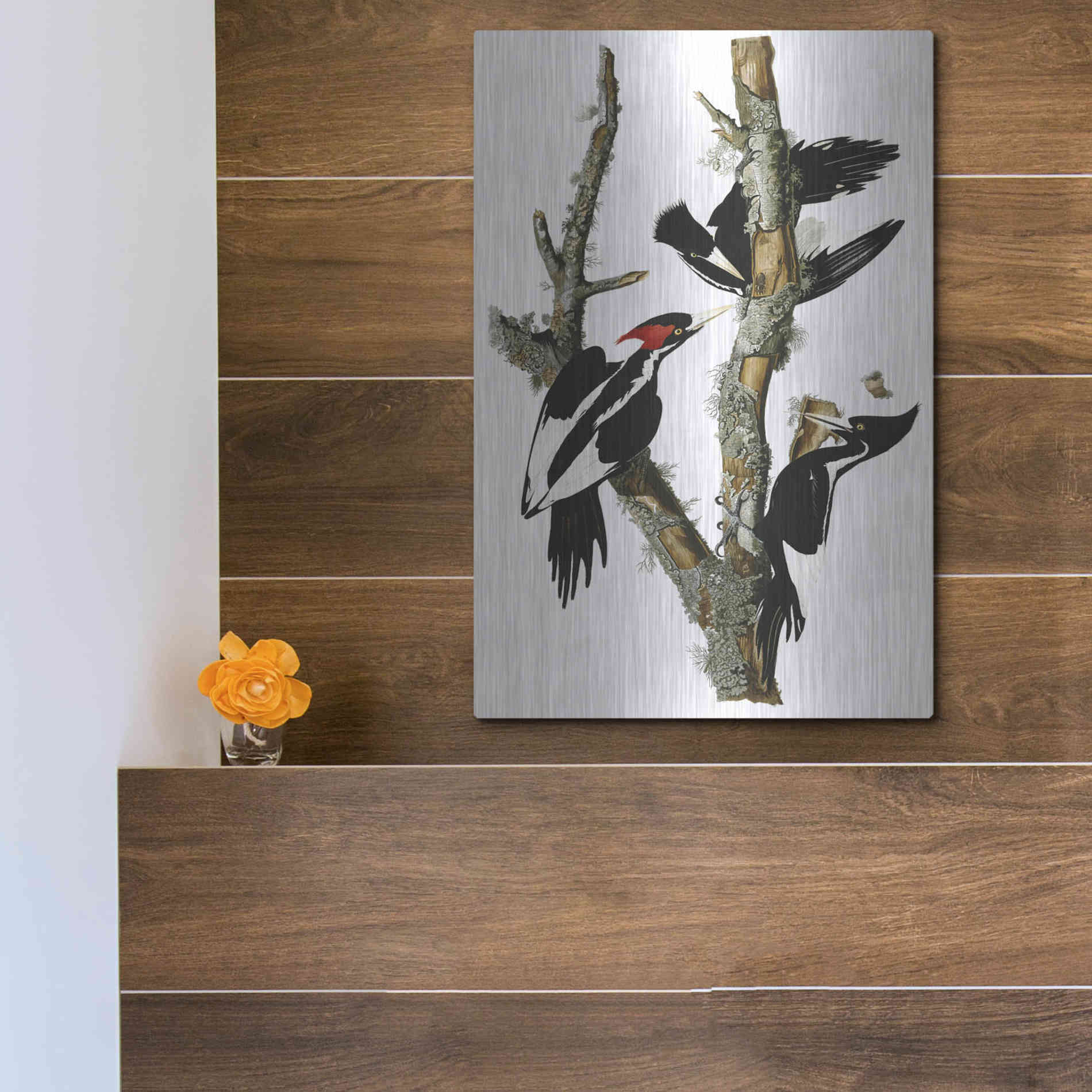 Luxe Metal Art 'Ivory-billed Woodpecker' by John James Audubon, Metal Wall Art,12x16
