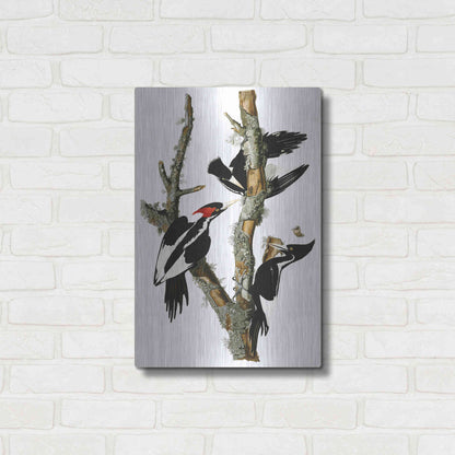 Luxe Metal Art 'Ivory-billed Woodpecker' by John James Audubon, Metal Wall Art,16x24