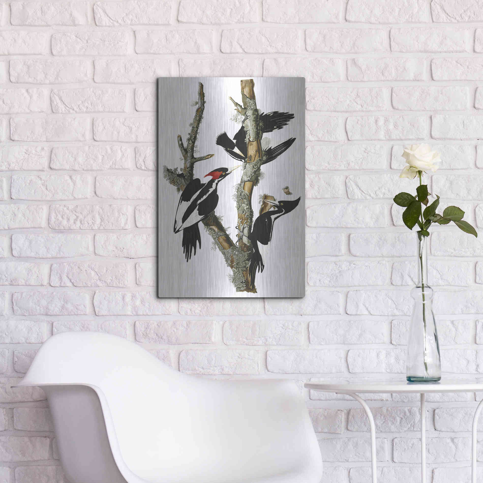 Luxe Metal Art 'Ivory-billed Woodpecker' by John James Audubon, Metal Wall Art,16x24