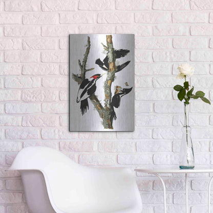 Luxe Metal Art 'Ivory-billed Woodpecker' by John James Audubon, Metal Wall Art,16x24