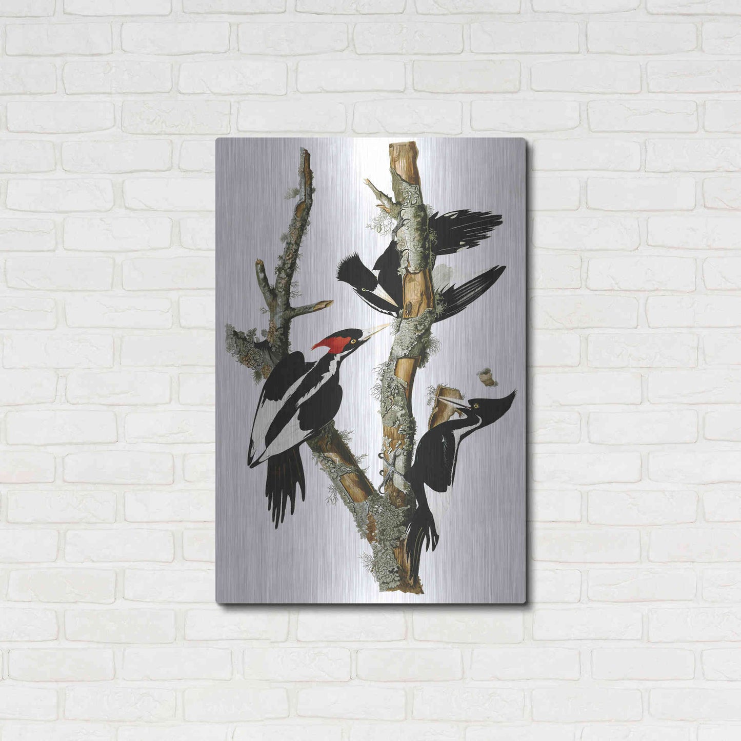 Luxe Metal Art 'Ivory-billed Woodpecker' by John James Audubon, Metal Wall Art,24x36