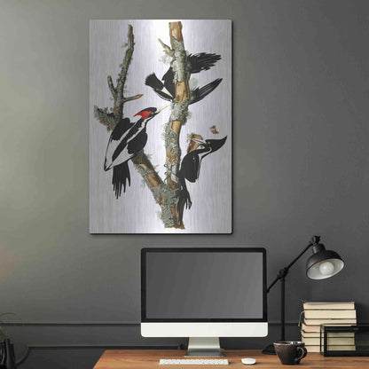 Luxe Metal Art 'Ivory-billed Woodpecker' by John James Audubon, Metal Wall Art,24x36