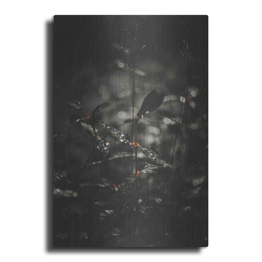 Luxe Metal Art 'Secret 7' by Design Fabrikken, Metal Wall Art