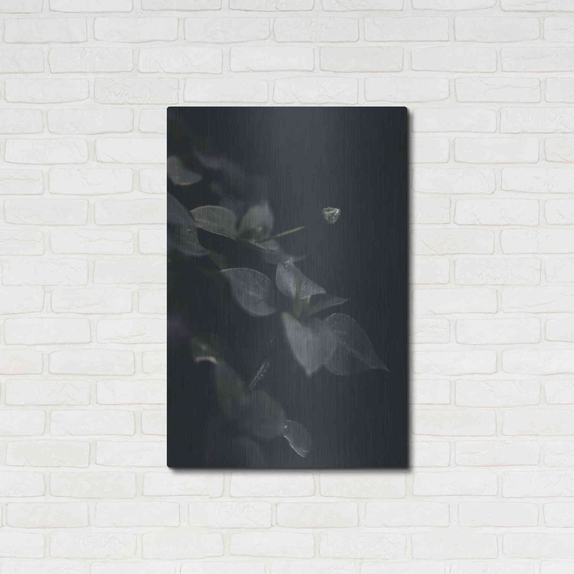 Luxe Metal Art 'Secret 9' by Design Fabrikken, Metal Wall Art,24x36