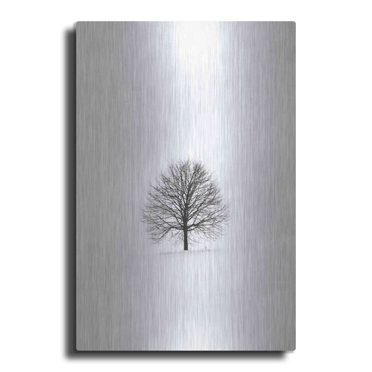 Luxe Metal Art 'Solitary 1' by Design Fabrikken, Metal Wall Art