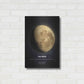 Luxe Metal Art 'The Moon 2' by Design Fabrikken, Metal Wall Art,16x24