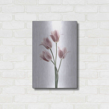 Luxe Metal Art 'Tulips Pink' by Design Fabrikken, Metal Wall Art,16x24