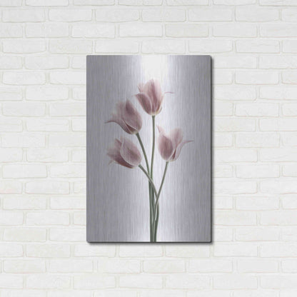 Luxe Metal Art 'Tulips Pink' by Design Fabrikken, Metal Wall Art,24x36