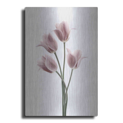 Luxe Metal Art 'Tulips Pink' by Design Fabrikken, Metal Wall Art