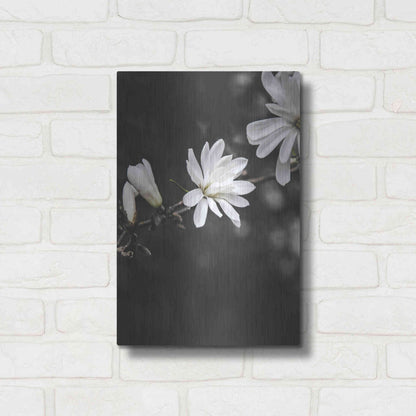 Luxe Metal Art 'White Flowers' by Design Fabrikken, Metal Wall Art,12x16