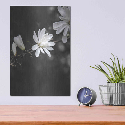 Luxe Metal Art 'White Flowers' by Design Fabrikken, Metal Wall Art,12x16
