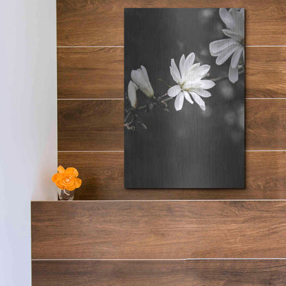 Luxe Metal Art 'White Flowers' by Design Fabrikken, Metal Wall Art,12x16