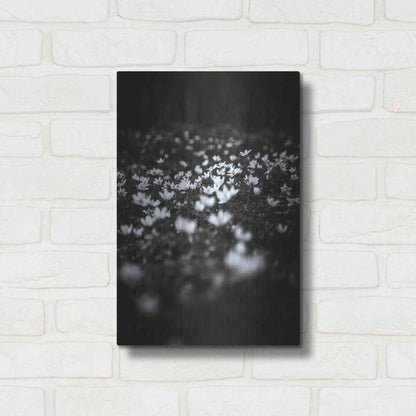 Luxe Metal Art 'Windflowers' by Design Fabrikken, Metal Wall Art,12x16