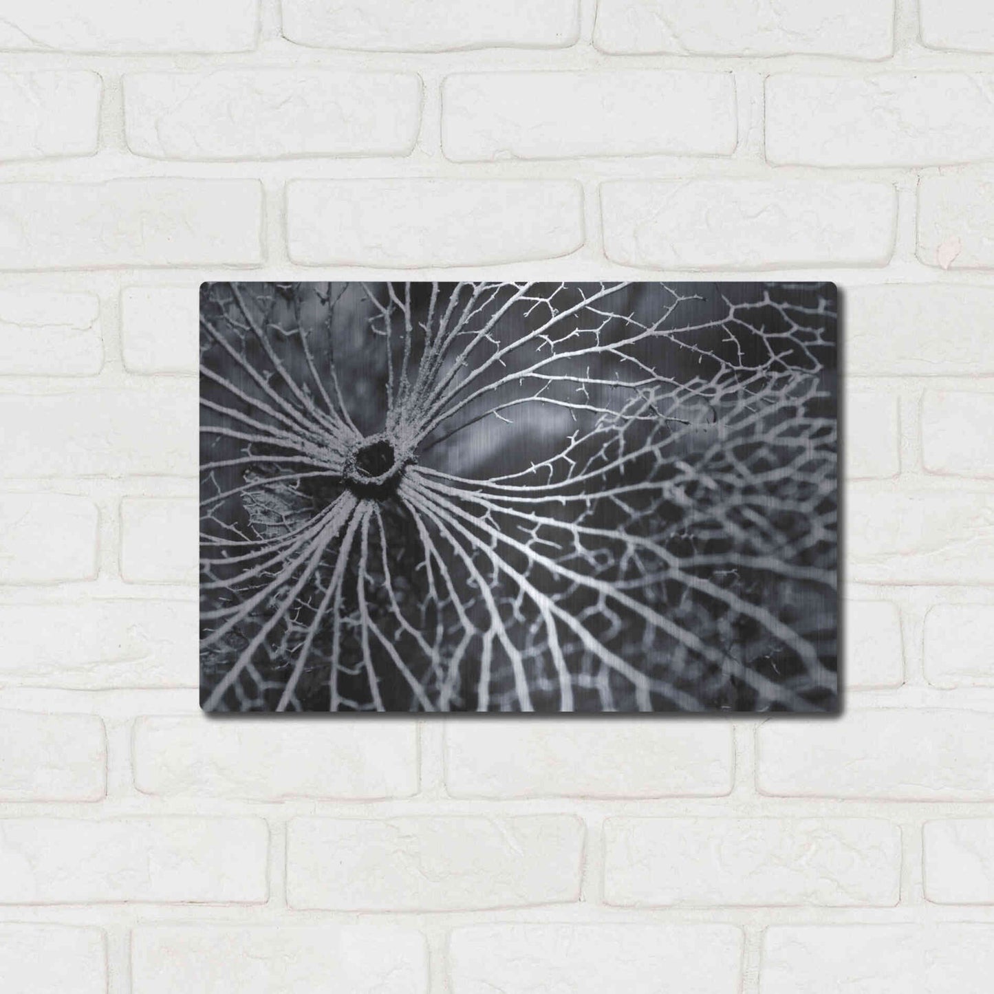 Luxe Metal Art 'Winterspell' by Design Fabrikken, Metal Wall Art,16x12