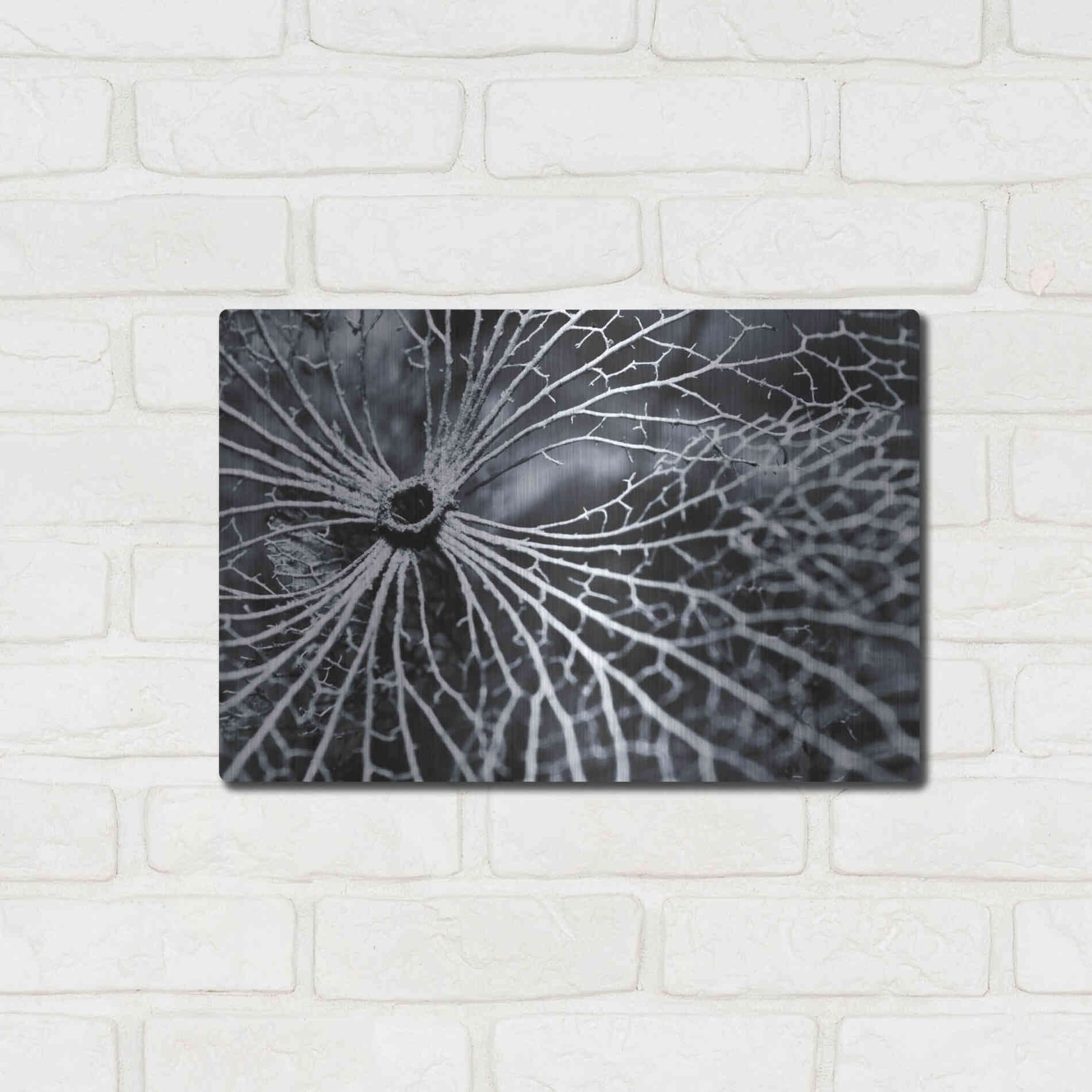 Luxe Metal Art 'Winterspell' by Design Fabrikken, Metal Wall Art,16x12