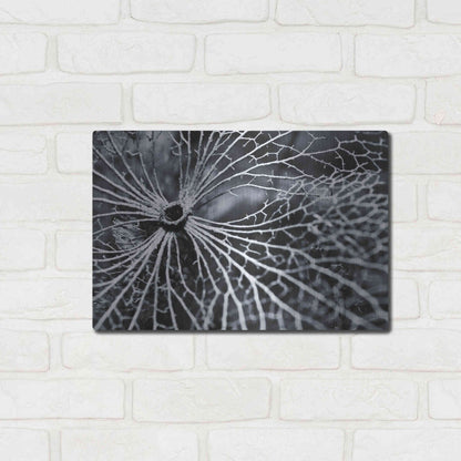 Luxe Metal Art 'Winterspell' by Design Fabrikken, Metal Wall Art,16x12