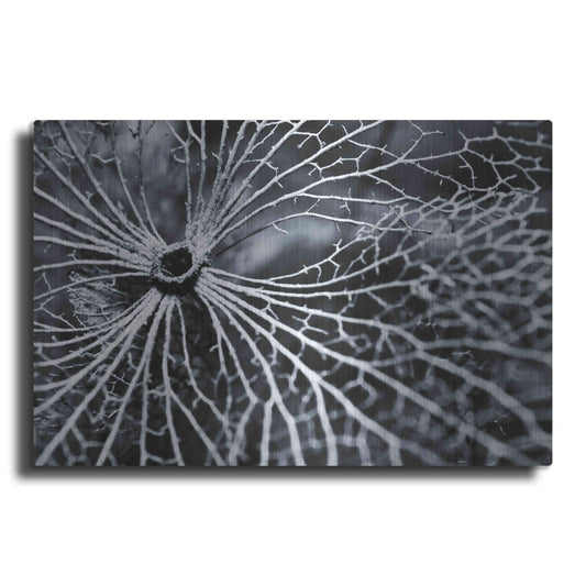 Luxe Metal Art 'Winterspell' by Design Fabrikken, Metal Wall Art