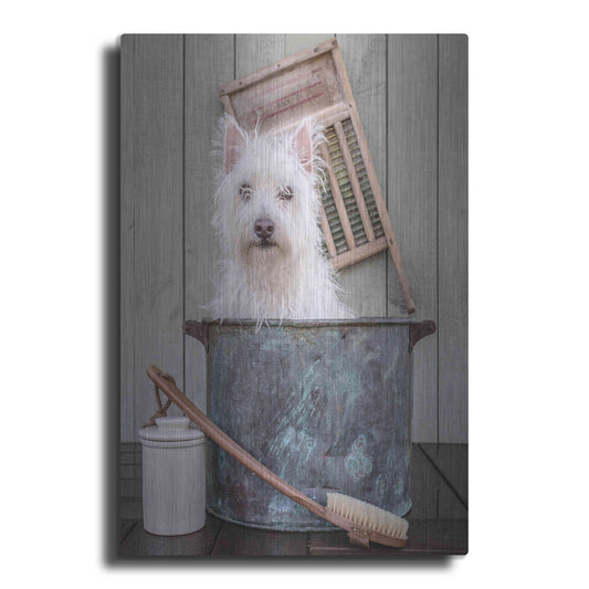 Luxe Metal Art 'Washing the Dog' by Edward M. Fielding, Metal Wall Art
