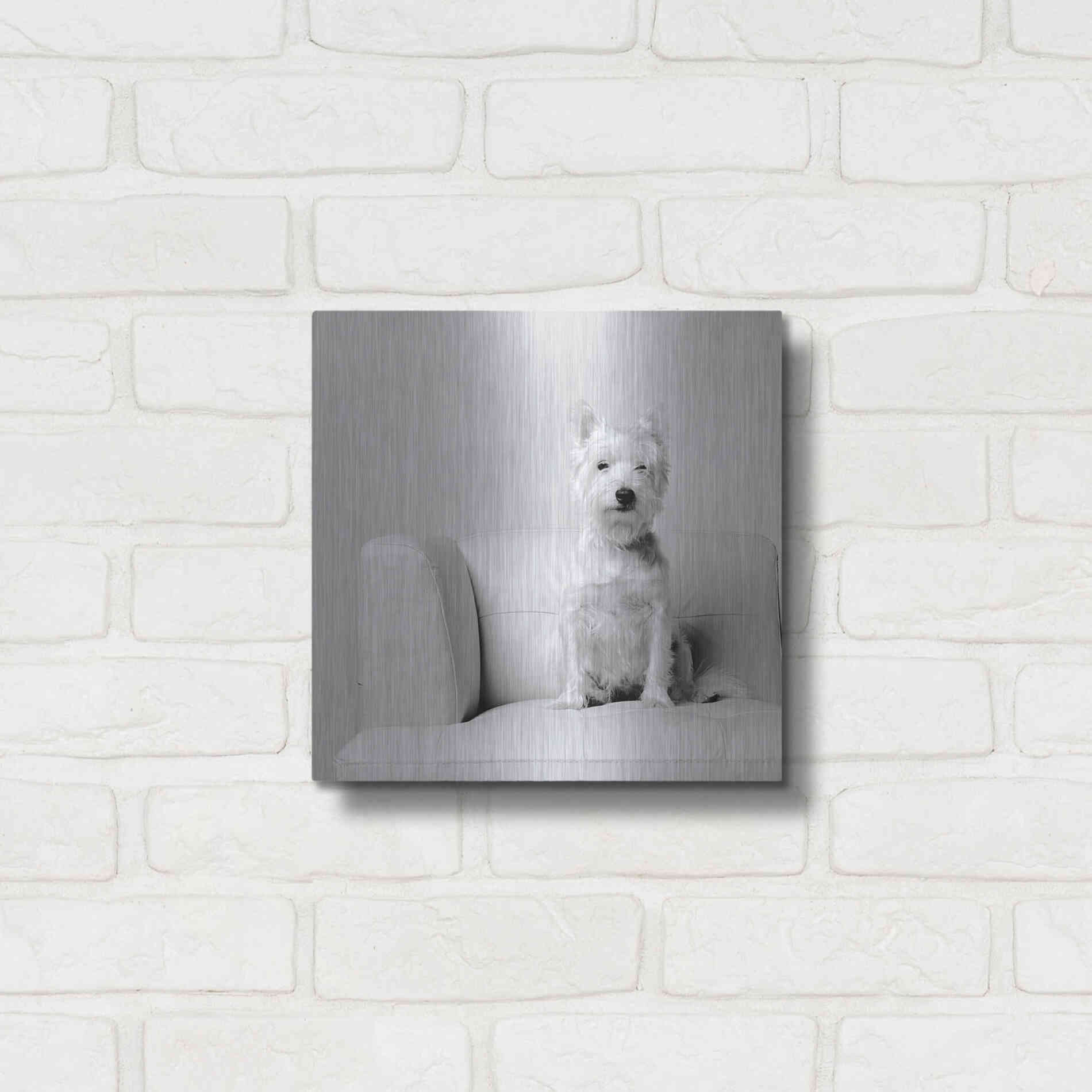 Luxe Metal Art 'White on White' by Edward M. Fielding, Metal Wall Art,12x12
