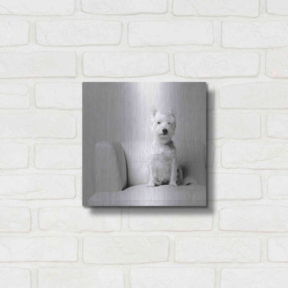 Luxe Metal Art 'White on White' by Edward M. Fielding, Metal Wall Art,12x12