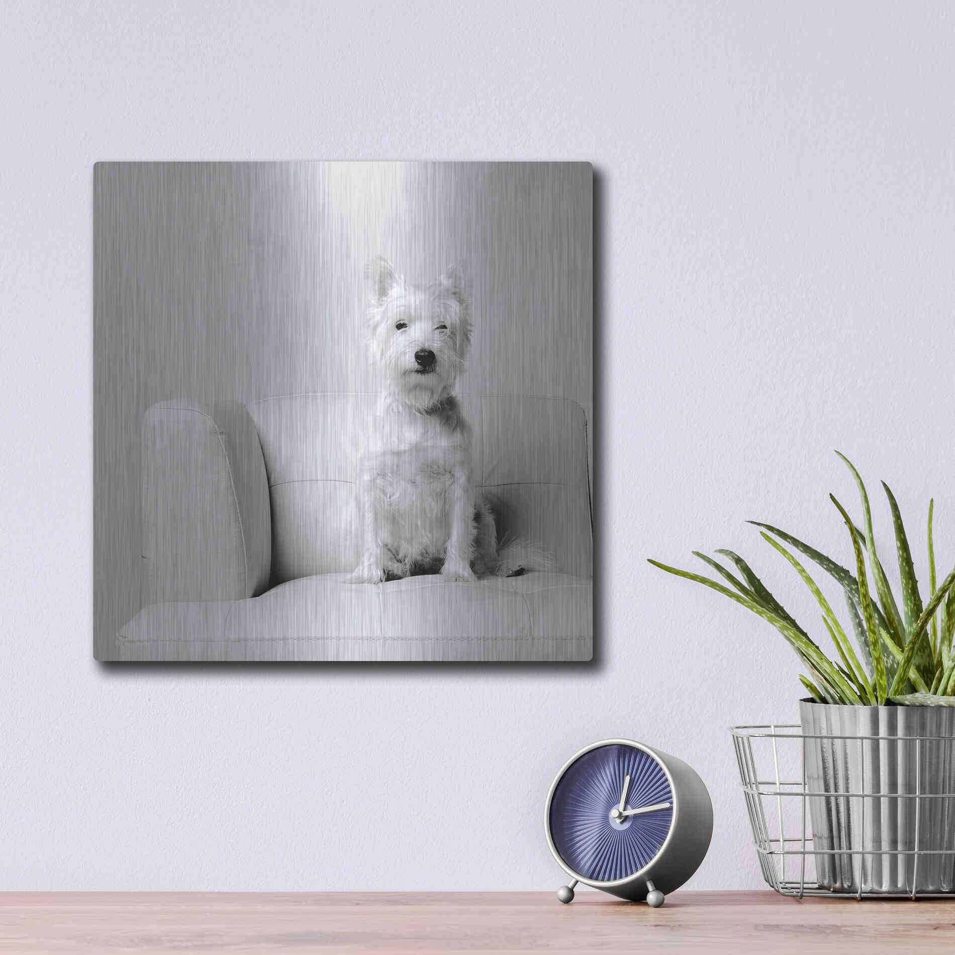 Luxe Metal Art 'White on White' by Edward M. Fielding, Metal Wall Art,12x12